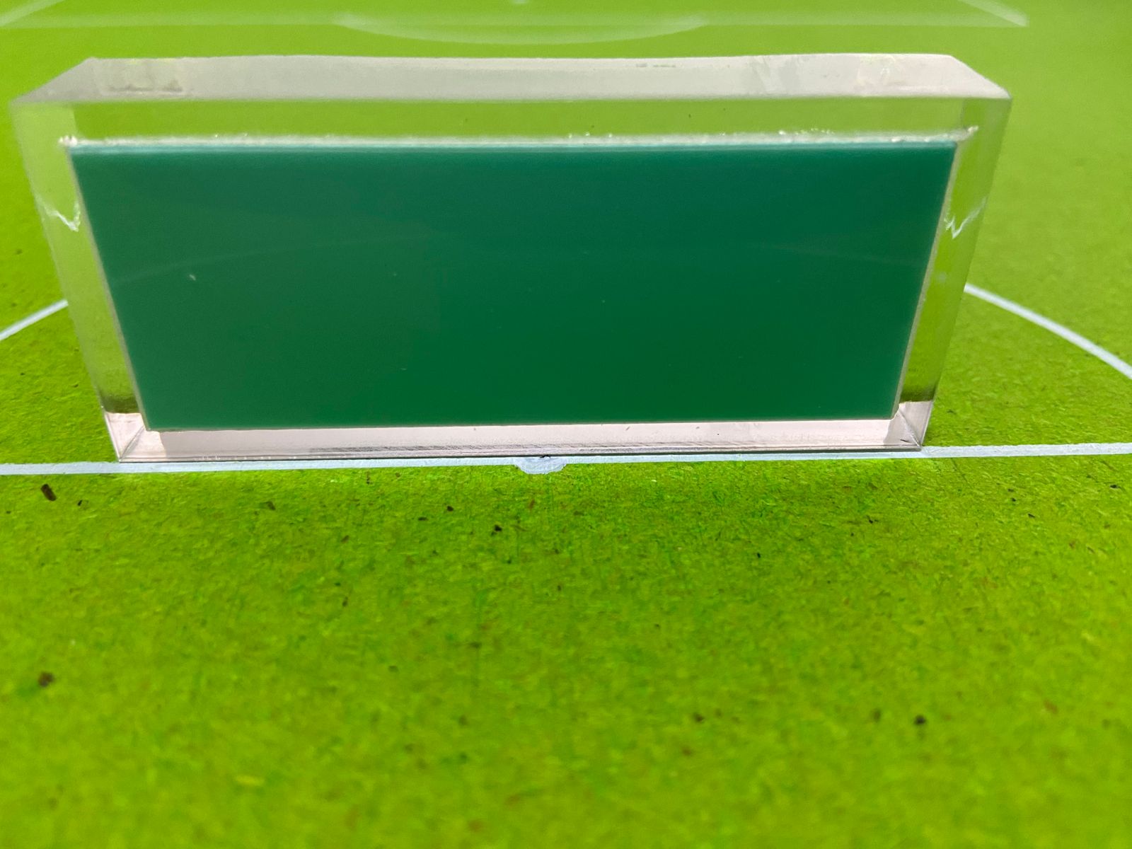 Goleiro Verde